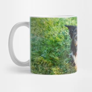 Happy Border Collie Mug